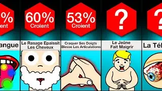 Comparaison : Je Parie Que Vous Croyez A Ces Mythes