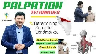 SCAPULA PALPATION MADE EASY ➡️ MEDIAL BORDER | SUPERIOR ANGLE | SPINE OF SCAPULA | ACROMIAN ANGLE.