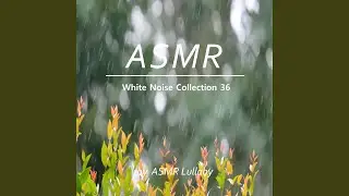 Rain Water Drop Sound ASMR