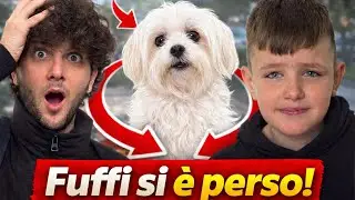 IL NOSTRO CAGNOLINO FUFFI SI È PERSO😭 Aiutateci a trovarlo 🥹