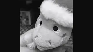 Sydney and Penny S1 E1 Sydney&lsquo;s house falls down/Sydney and pennys new years special.￼