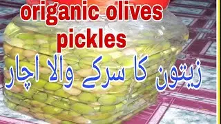 How To Make Olive Pickle |Oregonic Olives pickle |Homemade  pickle Recipe |Abeera Food Secerts