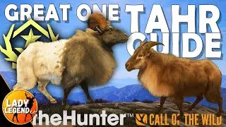 TAHR GUIDE:  FIND YOUR ZONES & SET-UP GUIDE!!! - Call of the Wild
