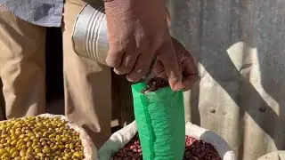 GLOBALink | Africa faces rising food prices amid Russia-Ukraine conflict
