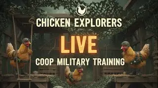 LIVE CHICKEN COOP CAM!! Day 2 of coop training my free-range chickens