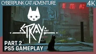 Stray (2022) 4K PS5 Gameplay - Cyberpunk Cat Adventure PlayStation 5 - Part 2 (No commentary) 2160p