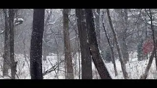 Fire and Ice by Robert Frost