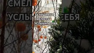 ЗА ТИШИНУ И СМЕЛОСТЬ УСЛЫШАТЬ СЕБЯ ⬇️⬇️ #новыйгод #самопознание #освобождение #личныйрост #short