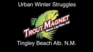 The Urban Winter Struggle even the Trout are hidding out(TINGLEY BEACH)