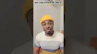 Mistaken dada bees are suffering 🤪🤪😂😂 #short #talkingpoint #reaction