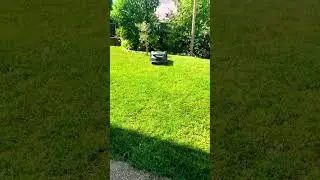 Hugo