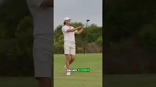 Golf Shot Gone WILD! Bird Interrupts Amazing Play! #shorts