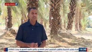 برنامج أرض الخير التلفزيون الأردني من محطة الكرامة للبحوث الزراعية للحديث عن النخيل