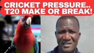 SVG Neighbor Coach West Indies Cricket... If Only THIS was Football 