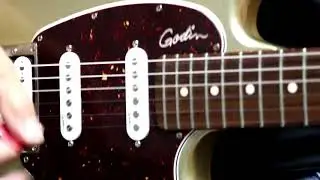 Godin Chitarra elettrica  Video Test Lenzotti Strumenti Musicali