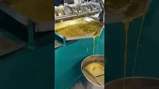 Fully automatic oil press machine for peanut, sesame, rapeseed, walnut, soybean