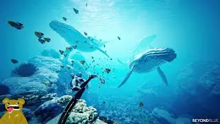 Beyond blue : The Ending [2k/1440p ultra]