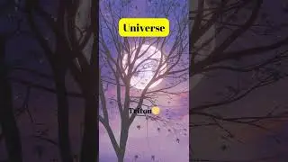 Sign up for daily curiosities 🤯🧠 #shorts #curiosities  #universe #moon