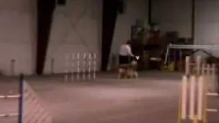 Logan NAJ 101809