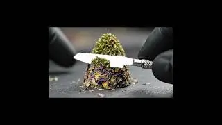 Satisfying ASMR: Precision Slice of Moss and Petals #asmr #satisfying #relaxation