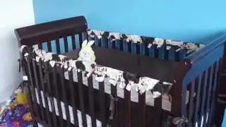 No Sew Crib Teething Guard!