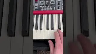 Nord keyboard action compared: Stage 4 HA vs Electro 5 HP