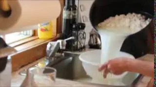 fromage cheddar lait de chevre