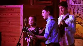 Rabbit In The Log - cover by One Fret Over