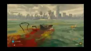 Erpan hiu 🦈 eropa 