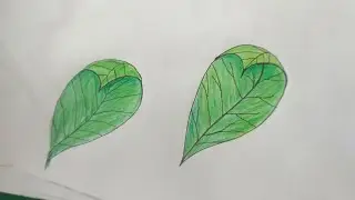 Easy curved leaf tutorial 🌿🌿#pendrawing #pencildrawing #drawingprocess #drawling #subscribe 