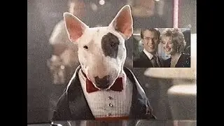 Spuds MacKenzie plays piano 1987 beer commercial