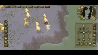 Dust Devils Guide For Catacombs OSRS