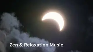 Relaxation & Zen Deep Sleep Music  💤