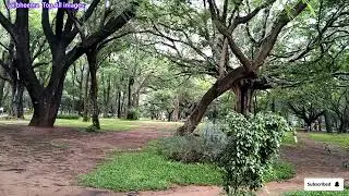 🌿Cubbon Park, Bangalore: ✔History, Location, Timings, Entry fee#Cubbon Park, Bangalore: ✔History,🌿🌿🌿