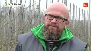 Przymrozki w sadzie: jak ograniczyć ich skutki? &ndash; 28 kwietnia 2017