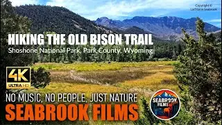 Hiking the Old Bison Trail: Shoshone National Forest, Park County, Wyoming