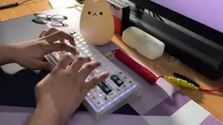 Shiba keyboard?! | Vortex VX8 with gateron yellows 🐕