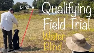 Qualifying Retriever Field Trial: 3rd Series Water Blind