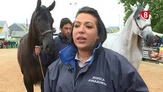 Camponaraya, pasión por el caballo