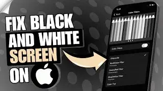 🌓 How to Fix Black and White Screen on iPhone | 🔧 iPhone Color Filter & Display Problem Solution