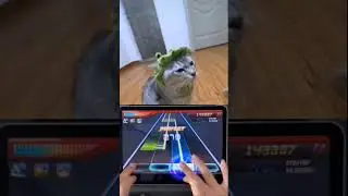 Grabote cat dance  #beatbounce #funcharacter #music #shortvideo