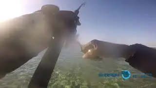 King Mackerel from shore casting | Doha, Qatar