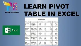 Pivot Table in Excel