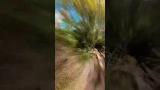 Hiking the Beech Cliff Trail in Acadia National Park, Maine | The Best Hikes In Acadia