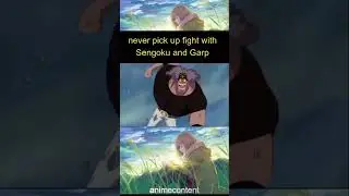 sengoku punch Black bear #anime #otaku #viral #animecontent #onepiece  #luffyanime  #animecharacter