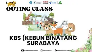 Outing Class Ke KBS ( Kebun Binatang Surabaya )