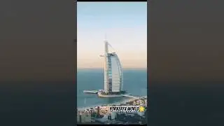 LAUNCHING TAP TAP GO 🌟 || DUBAI || YORKERFX || BOTBRO🇮🇳 #botbro #taptapgo #blackpanther #blockchain