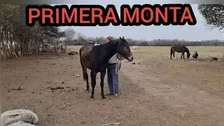 CONSEJOS A TENER EN CUENTA CUANDO APURAMOS EL AMANSE DE UN CABALLO #caballossalvajes