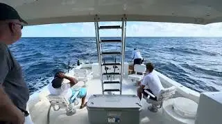 Captain Conch Charters - Key West, FL First Catch Mahi-Mahi