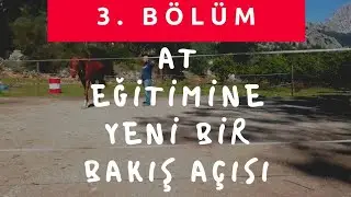 At eğitimi hakkında bilmeniz gerekenler bölüm III #ateğitimi #atlar #atbakımı